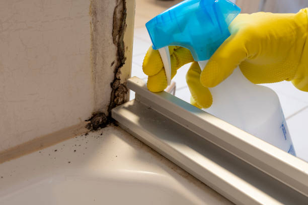 Professional Mold Remediation in Fords, NJ